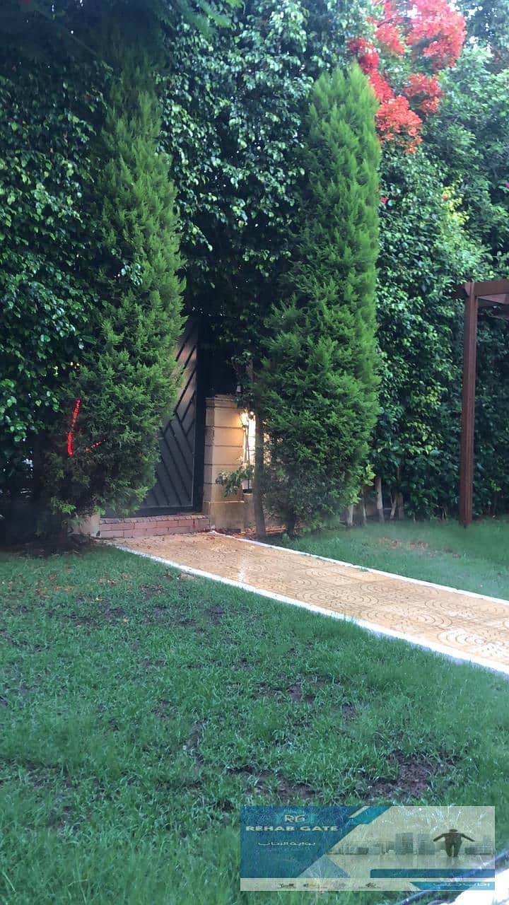 8 5146ef43-1620-4dc2-84f3-faef1060e47d. jpg