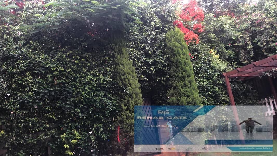 10 c9861371-c856-4b88-8ea4-6ef056fb0c01. jpg