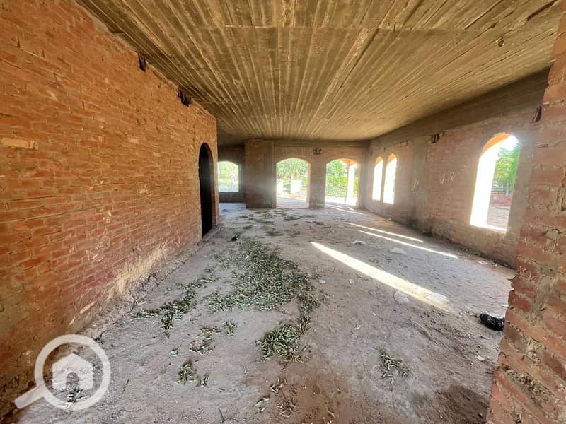 4 WhatsApp Image 2025-02-11 at 11.48. 17 PM. jpeg