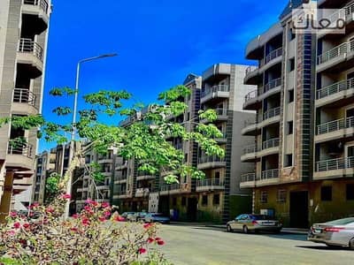 شقة 3 غرف نوم للبيع في القطامية، القاهرة - 90435fb9-7eee-4202-bb0b-afb00a74c55f. jpg