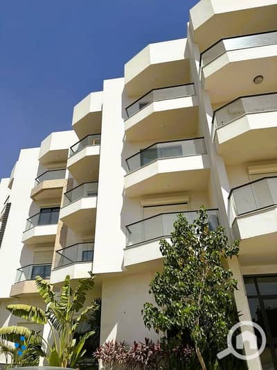 3 Bedroom Apartment for Sale in Sheraton, Cairo - 418658211_467254275744504_1089629386321825197_n. jpg