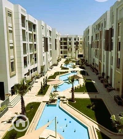 5 17253205-400x300. jpeg