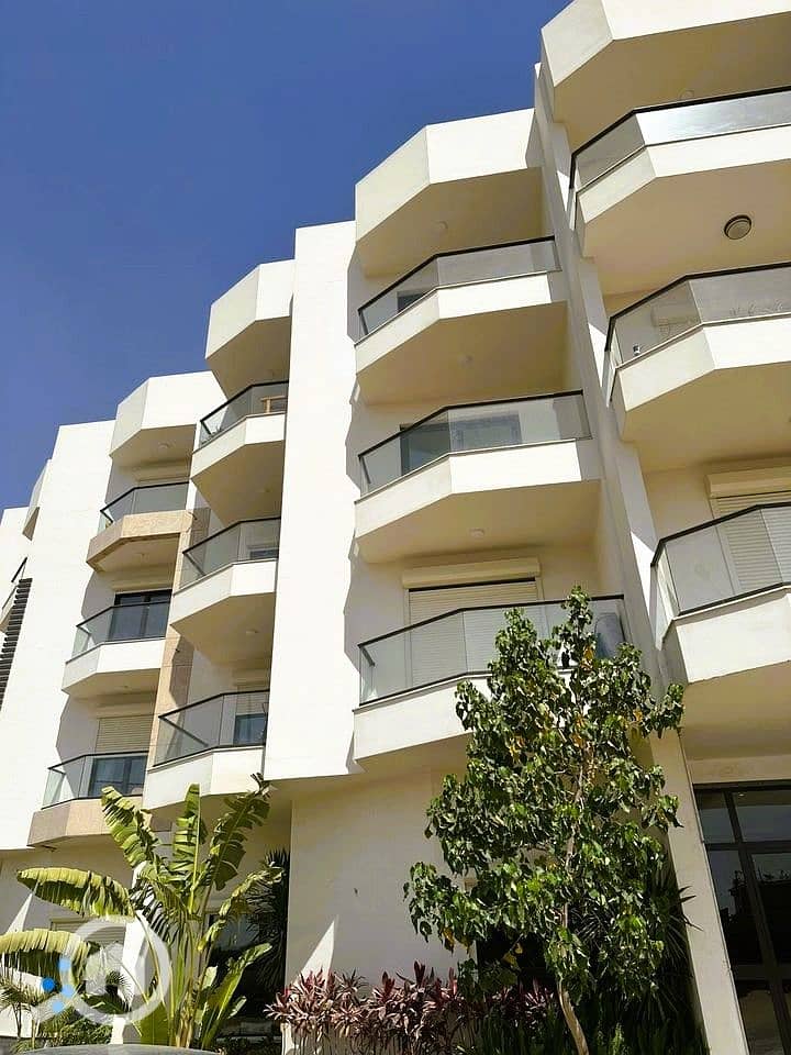 4 418658211_467254275744504_1089629386321825197_n. jpg