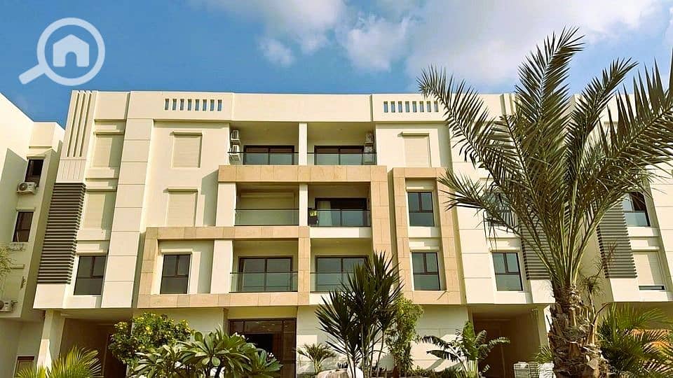 8 436787983_996542041981476_6156920532844672099_n. jpg