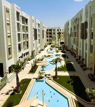 10 17253205-400x300. jpeg