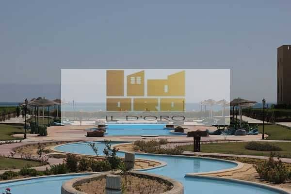 2 pUiMsXqxeqev4UJXkqGVBvo2i1BPUZodRoZH3tdp. jpeg