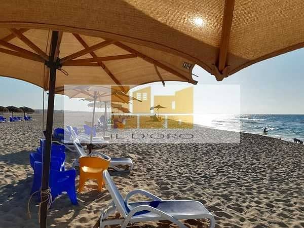 3 IszIx5817gM8RSgbgkCMEJrgdXEgBQgvmuRrMqif. jpeg