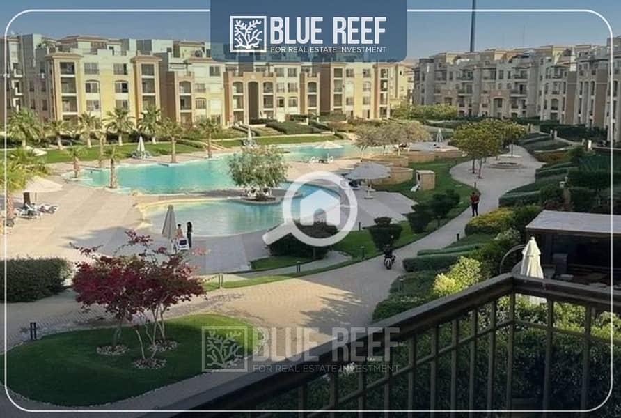 8 نيوو ستوون. jpg