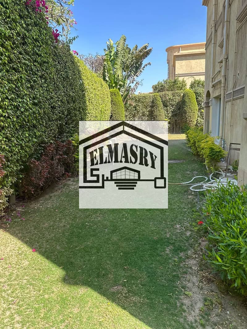 25 cf1e64a5-24ef-4608-b2ff-252ea54bfc66. jpg