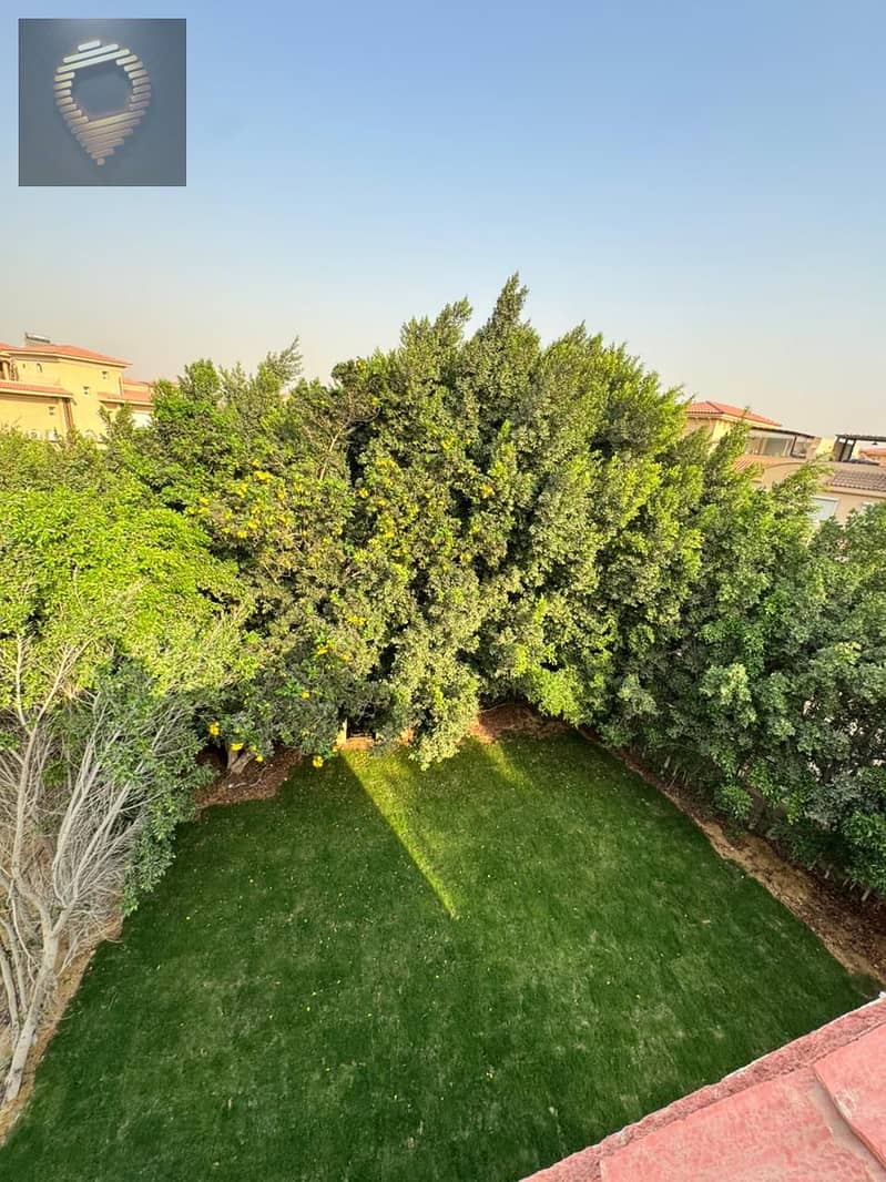 4 IMG-20251105-WA0327. jpg