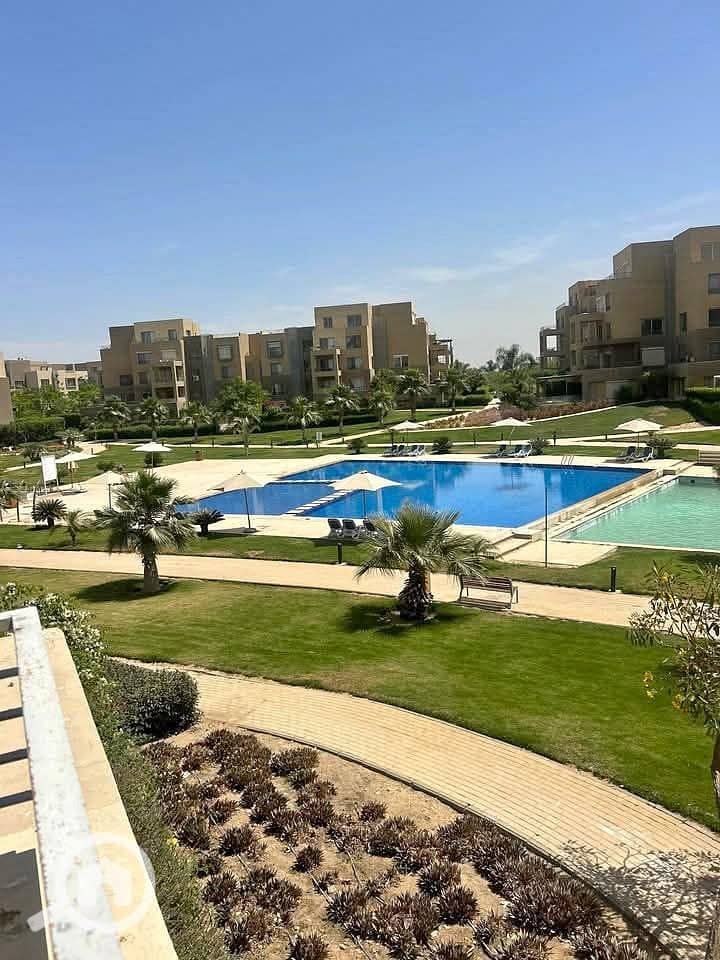 7 506646657_3153370928151484_7325609569646179849_n. jpg