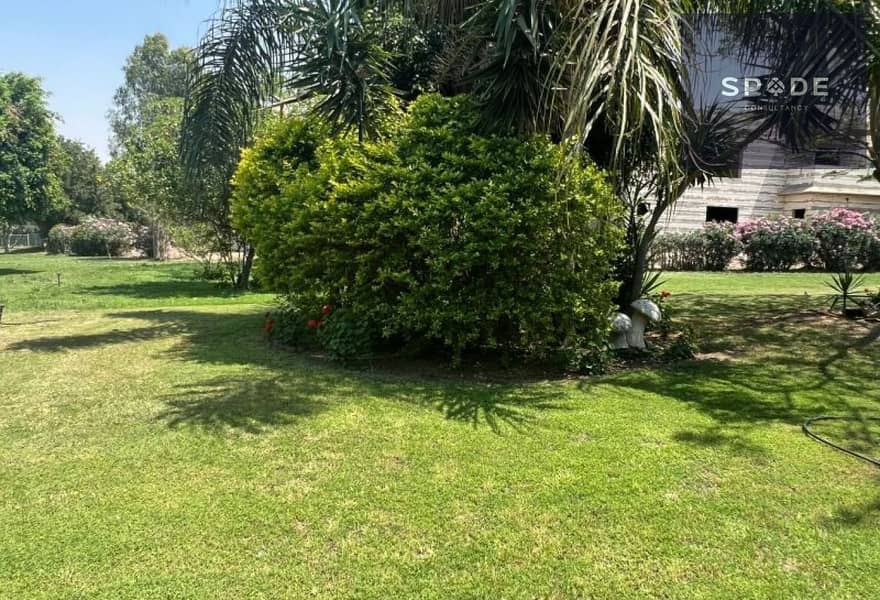 6 4668d1ea-7c69-4c31-90b8-ea265922a8e9. jpg