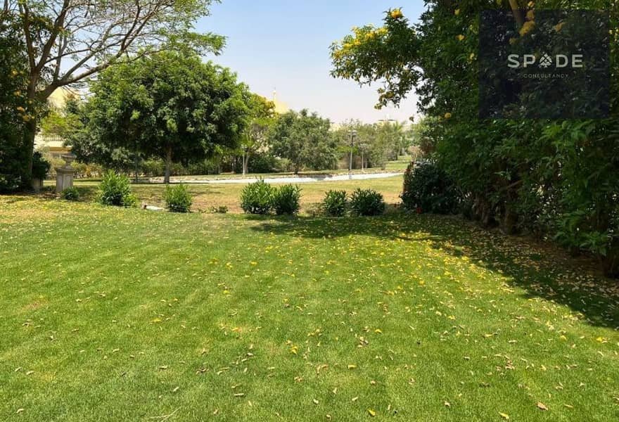 9 e8f6e3bb-c8ad-4fd2-b744-18f11b2ff246. jpg