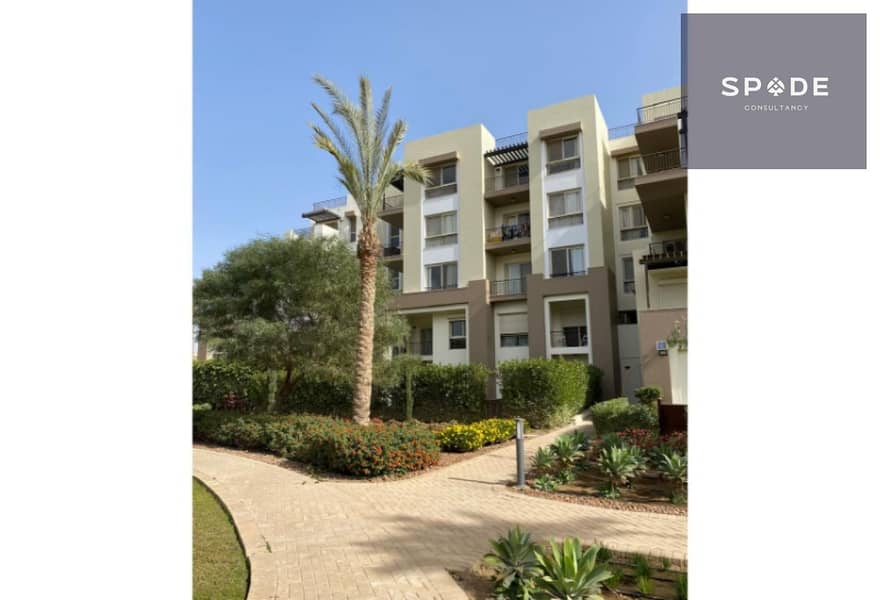 4 10c5978b-02af-4cbc-8274-9e3e5b001f84. jpg