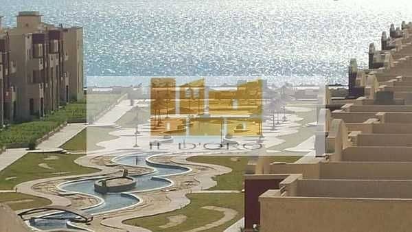 8 QuRVmrowf3fVmN6xOKNkBQvHU20i3g6AXKV3VeZq. jpeg