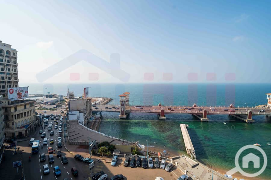 DSC07918. jpg DSC07918. jpg