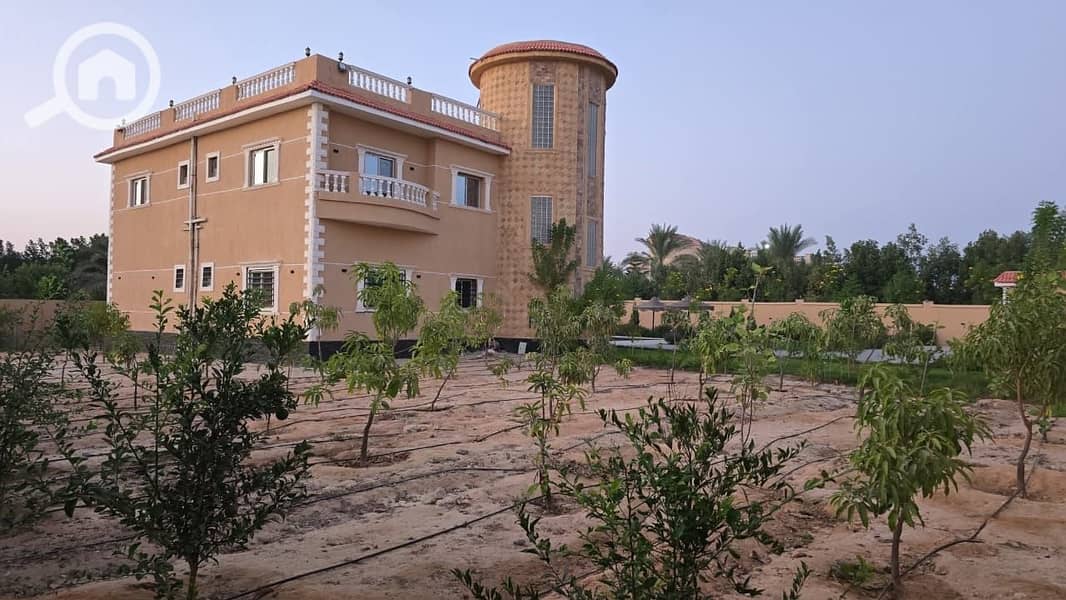 4 WhatsApp Image 2025-11-05 at 11.35. 29 AM. jpeg