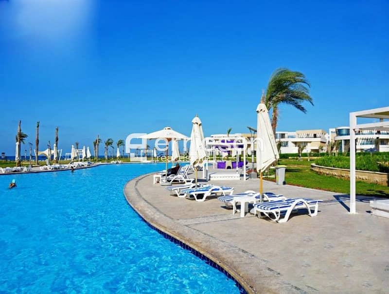 18 Vd3PeTRa8eJ4wkc9. jpg