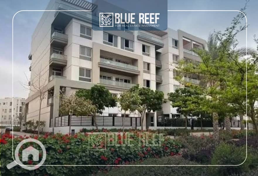 2 Bluereef  - Templete. psdsdfcv bnm. jpg