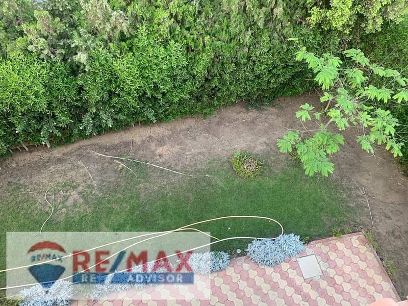 6 5988052935071878632. jpg