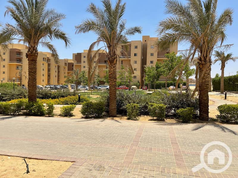 6 65bac332-7f25-4925-bef0-25a6d5cb4d36. jpg