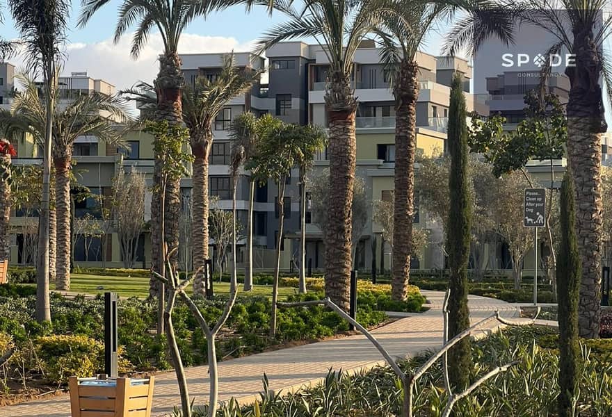 6 522f25f7-484f-465a-ba13-72479785af8c. jpg