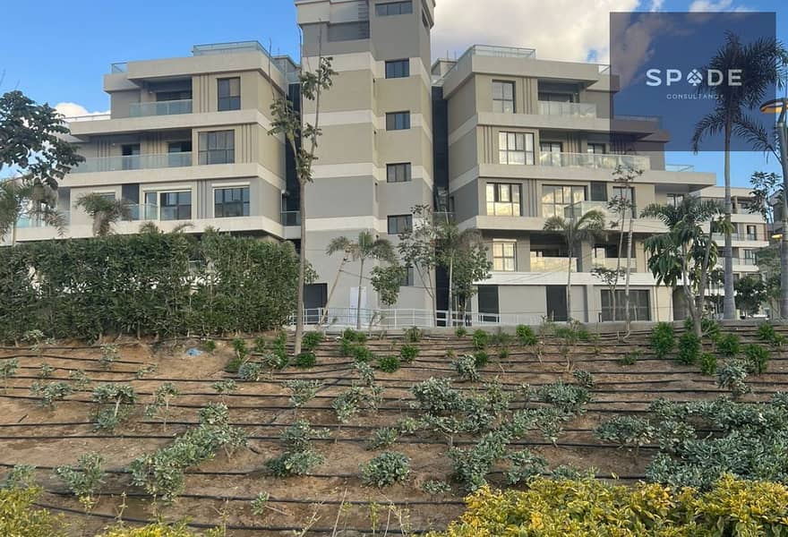 7 30732f39-77e1-4df8-bfff-22d614a745a0. jpg