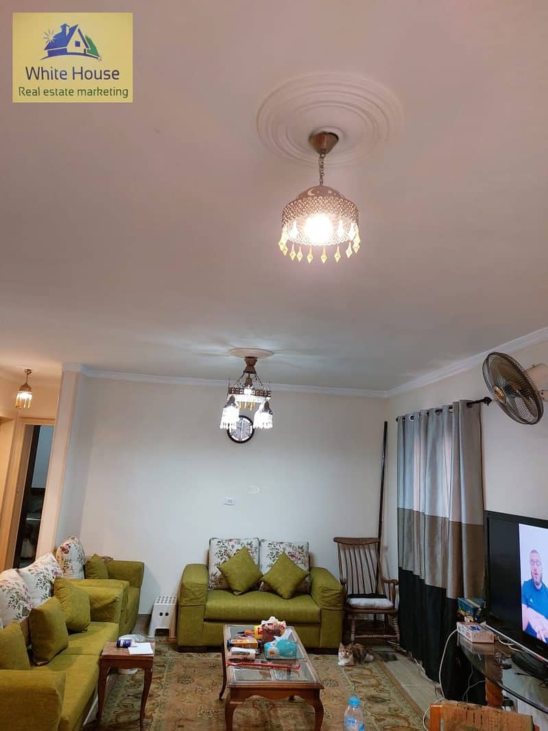 5 WhatsApp Image 2025-07-17 at 10.40. 24 AM (1). jpeg