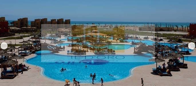 شاليه 2 غرفة نوم للبيع في راس سدر، جنوب سيناء - WhatsApp Image 2025-11-04 at 12.32. 58 PM (1). jpeg