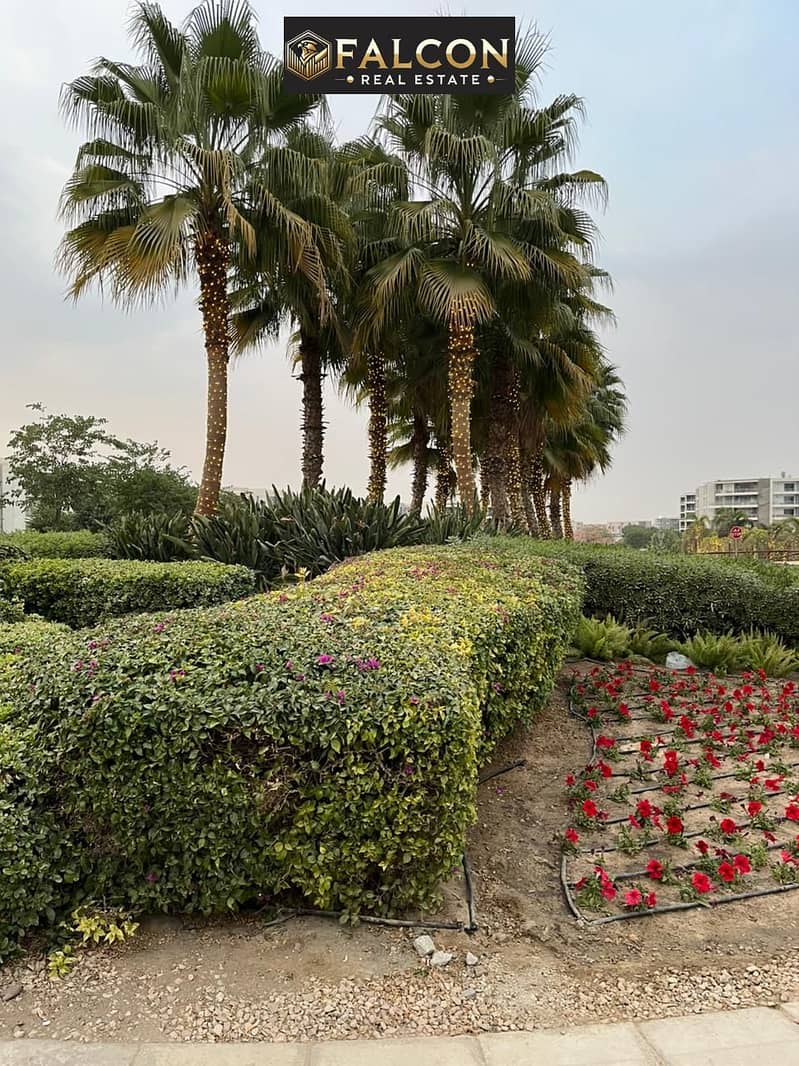 10 WhatsApp Image 2024-12-08 at 17.47. 31_f5e465b6. jpg