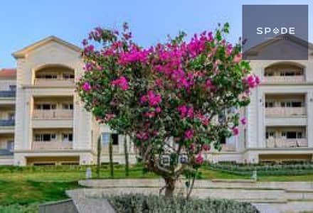 فلیٹ 3 غرف نوم للبيع في القاهرة الجديدة، القاهرة - 0ae6ae79-9c29-4d32-8046-7c38c8c56452. jpg