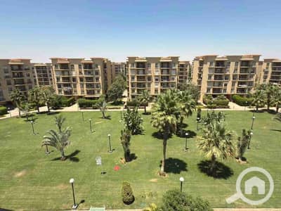 شقة 4 غرف نوم للبيع في القاهرة الجديدة، القاهرة - 1000178873. jpg