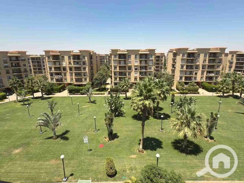 1000178873. jpg 1000178873. jpg