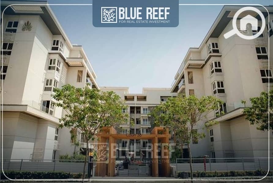 4 WhatsApp Image 2025-10-12 at 4.16. 11 PM (1). jpeg