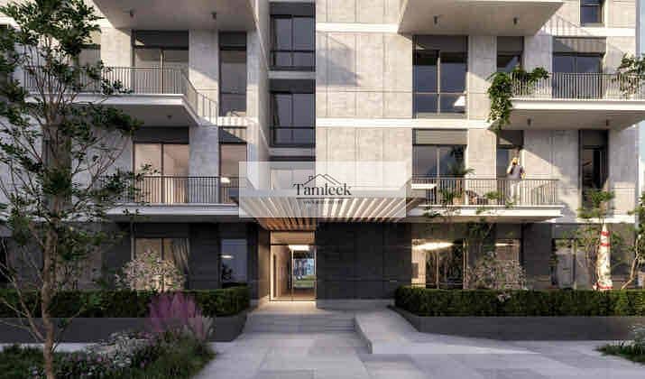 IMG_6650. jpg IMG_6650. jpg