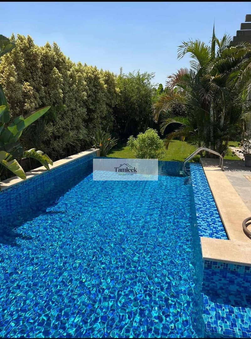 7 ccd04986-ddd3-41ca-8b50-13edea229637. jpg