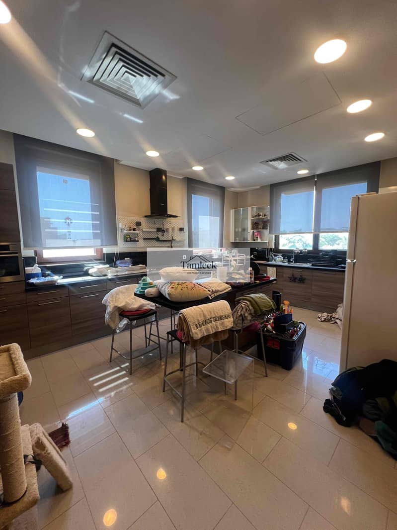 8 03db54f0-69ea-4847-850f-938e94c03cbe. jpg