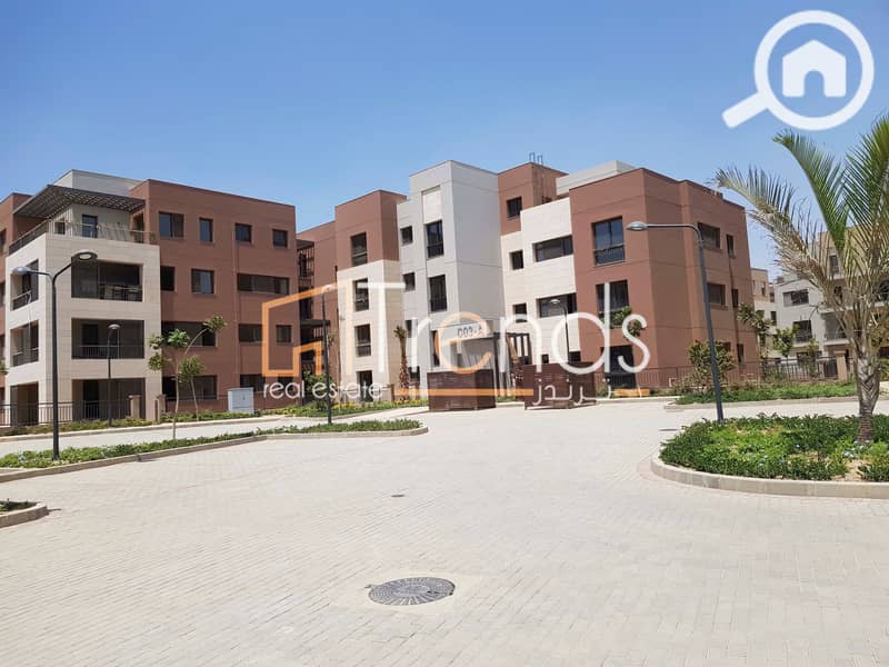 4 20220811_124504. jpg