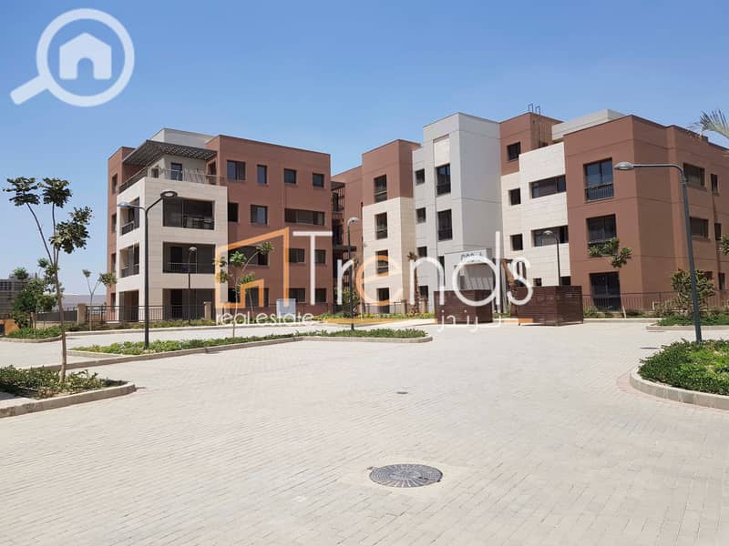 5 20220811_124506. jpg