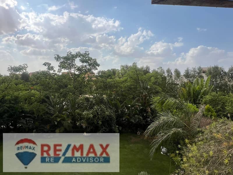 4 5988052935071878467. jpg