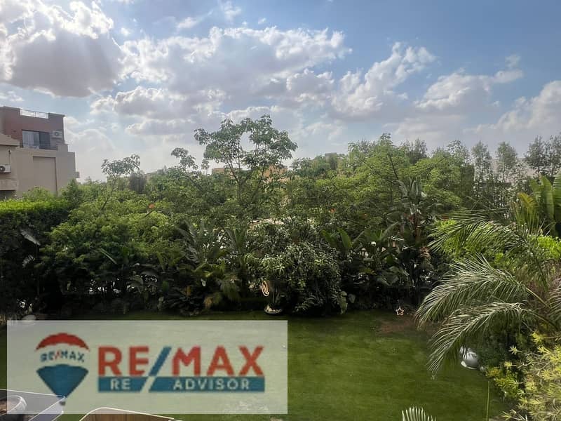 5 5988052935071878471. jpg