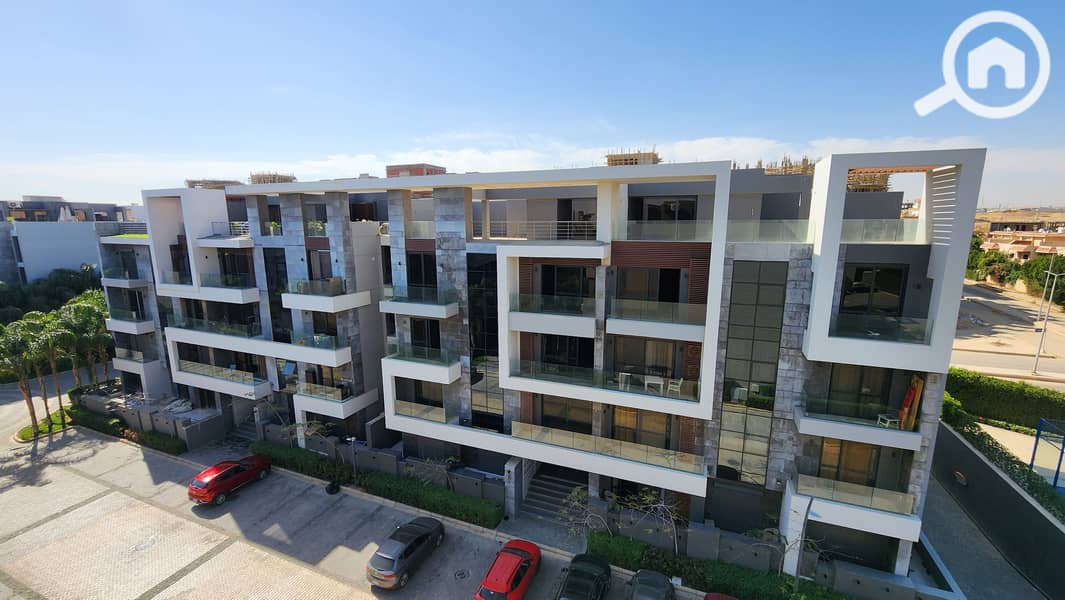 3 20250501_094742. jpg