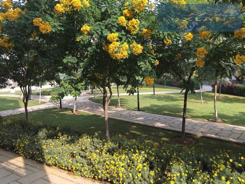 4 IMG-20251105-WA0048. jpg