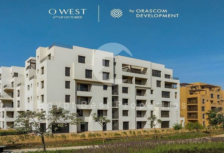 3 40e1f1eb-bbcf-4305-9386-316106050dd4. jpg