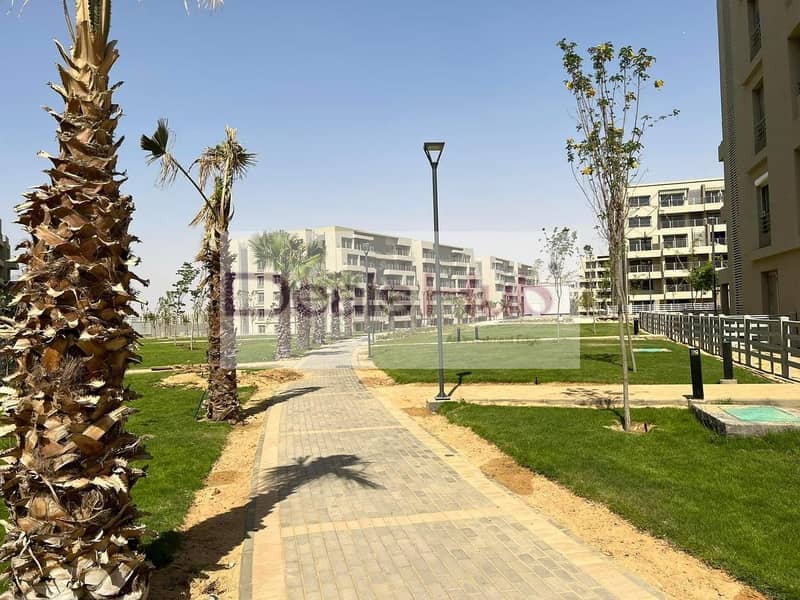 5 472603431_450976771417709_9145238246411470547_n. jpg