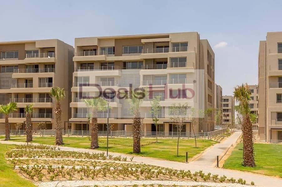 6 472357431_450976958084357_2122293650754789486_n. jpg