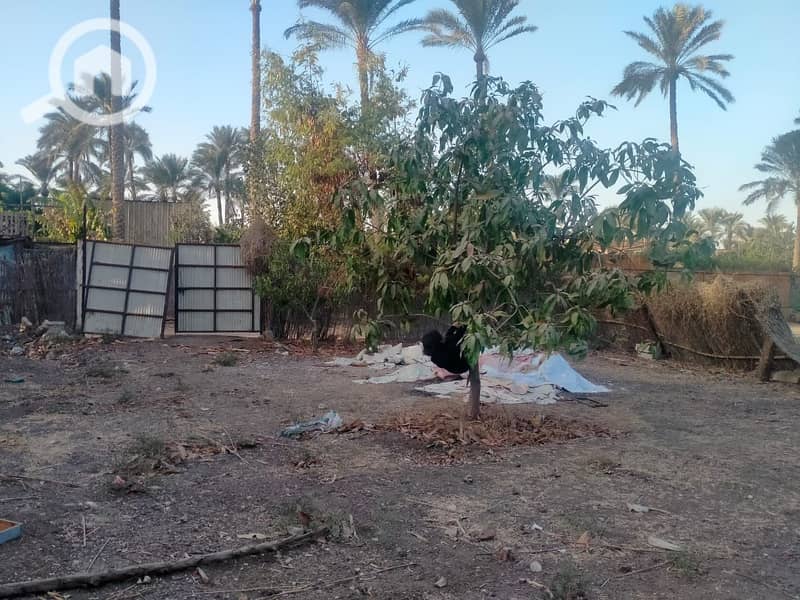 2 WhatsApp Image 2025-11-03 at 18.49. 55_08a50fbb. jpg