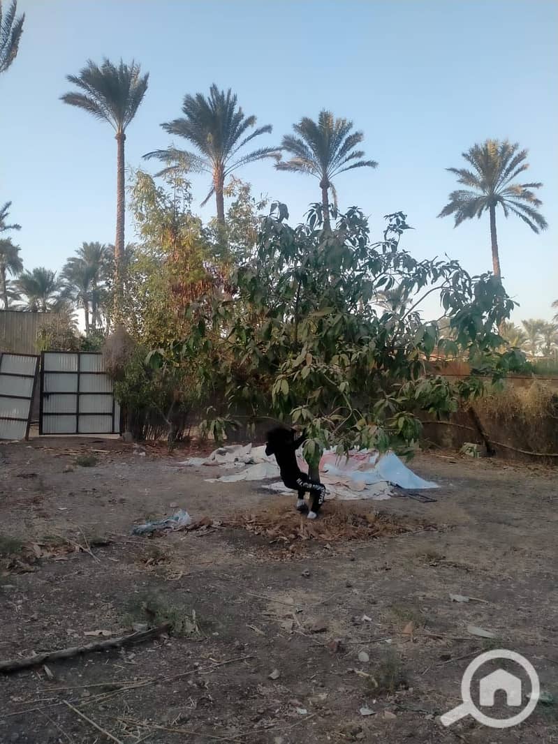 3 WhatsApp Image 2025-11-03 at 18.49. 55_37205ac2. jpg