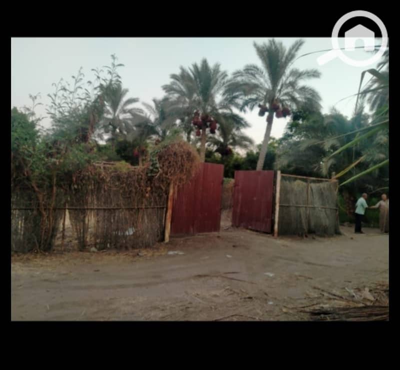 4 WhatsApp Image 2025-11-03 at 18.49. 55_1b8bb0d2. jpg