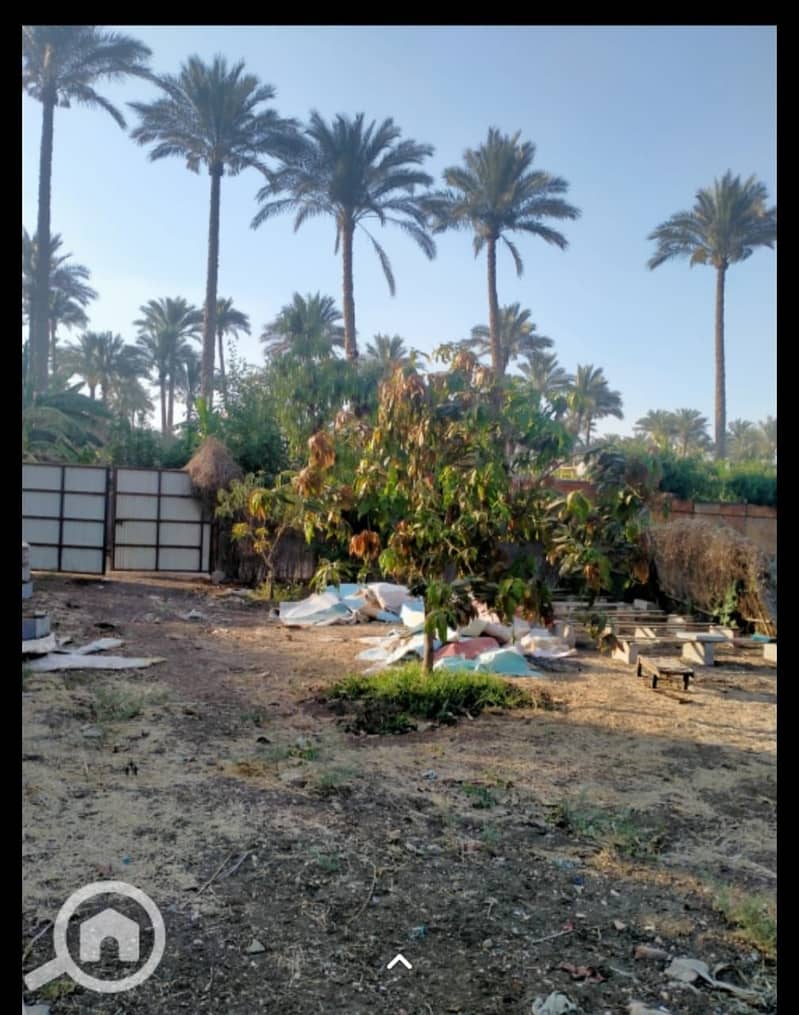 5 WhatsApp Image 2025-11-03 at 18.49. 55_9362cb25. jpg